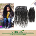 Hot Sale!!! Whosale Price Unprocessed Virgin Brazilian Kinky Curly Clip in Hair Extensions for Black Women